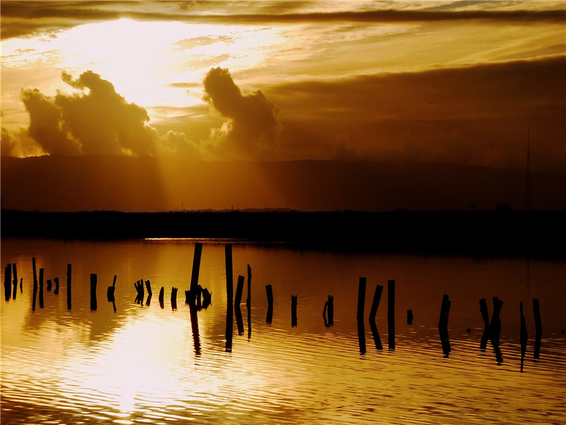 正销凝,黄鹂又啼数声的意思出处赏析