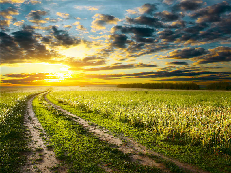 如彼游川鱼,比目中路析出处意思赏析