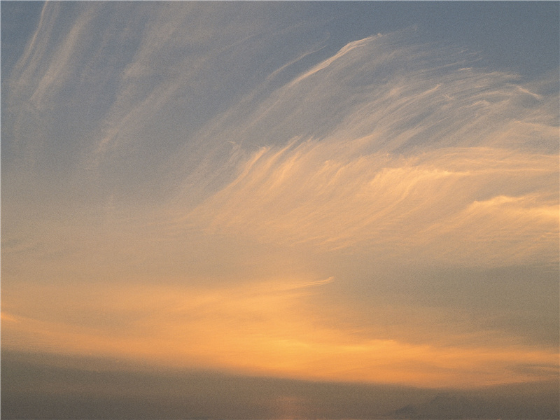 《鹧鸪天·寻菊花无有戏作》原文,宋)辛弃疾古诗