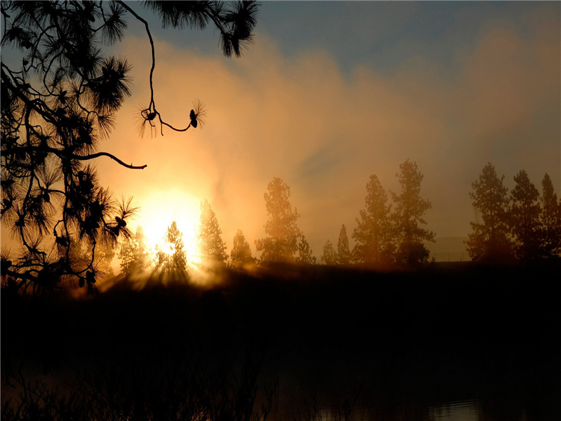 怅恍如或存,回惶忡惊惕出处意思赏析