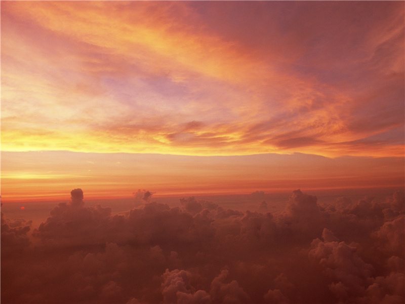 顾我无衣搜荩箧,泥他沽酒拔金钗出处意思赏析