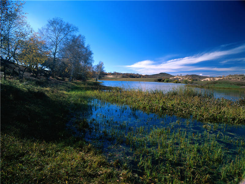 舂秫作美酒,酒熟吾自斟出处意思赏析