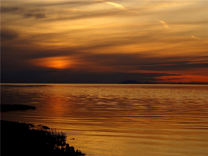 三顾频烦天下计,两朝开济老臣心的出处意思赏析