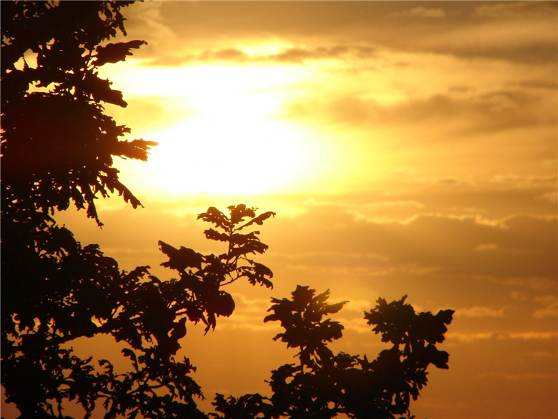 落木千山天远大,澄江一道月分明出处翻译赏析