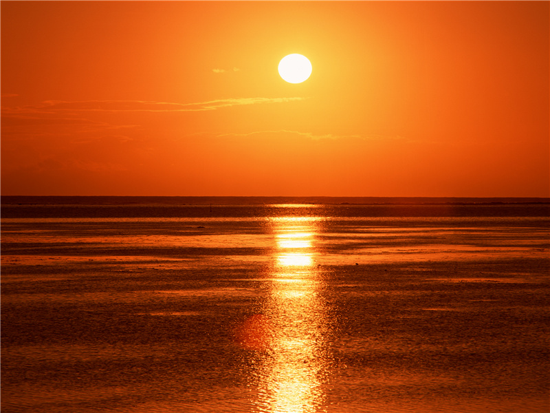 明月何皎皎,照我罗床帏出处翻译赏析