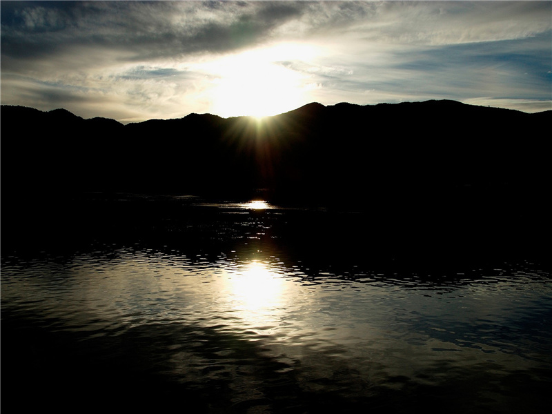 一年一度,烂漫离披,似长江去浪出处意思赏析