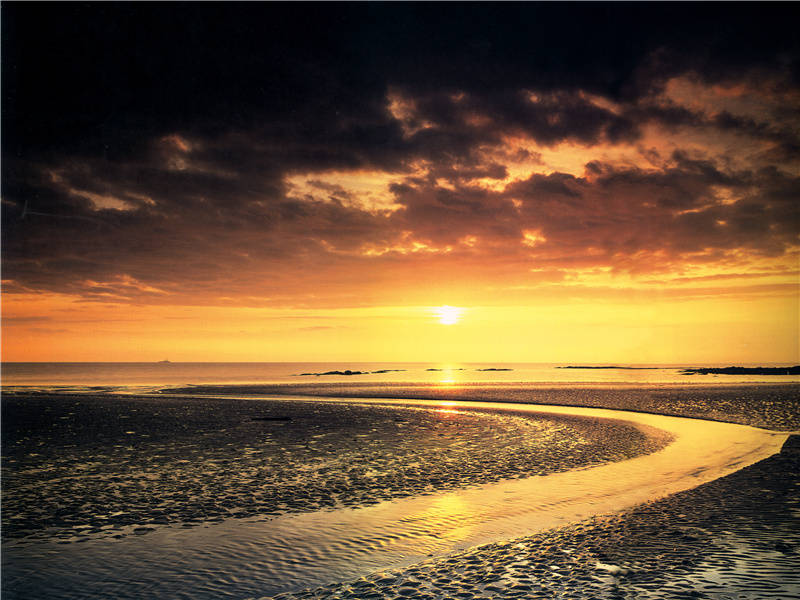 蕉叶半黄荷叶碧,两家秋雨一家声出处意思赏析