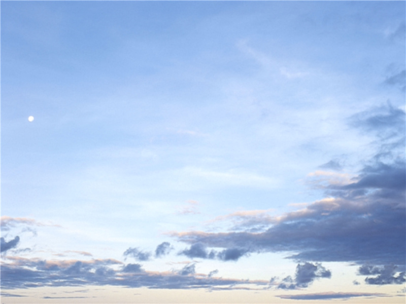 若待上林花似锦,出门俱是看花人出处意思赏析