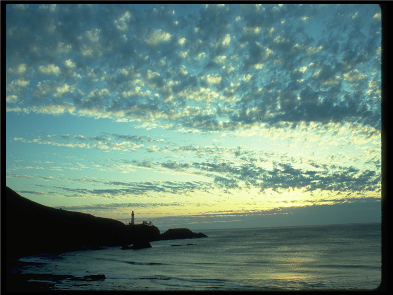 《甘草子·秋暮》原文,宋)柳永古诗