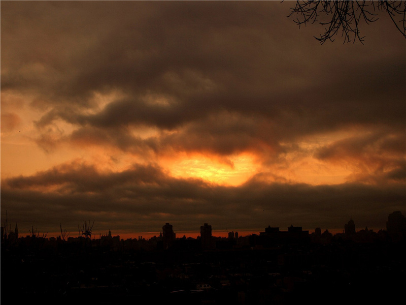竹径通幽处,禅房花木深的出处意思赏析