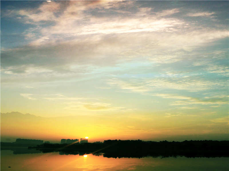 水月亭前且杨柳,集芳园下尽荷花出处意思赏析