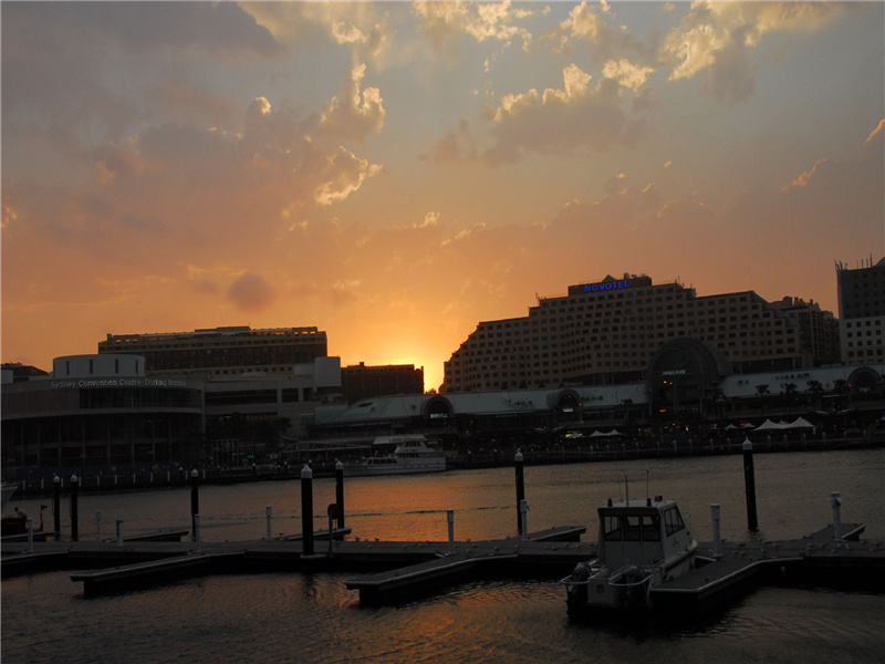 世事相违每如此,好怀百岁几回开出处意思赏析