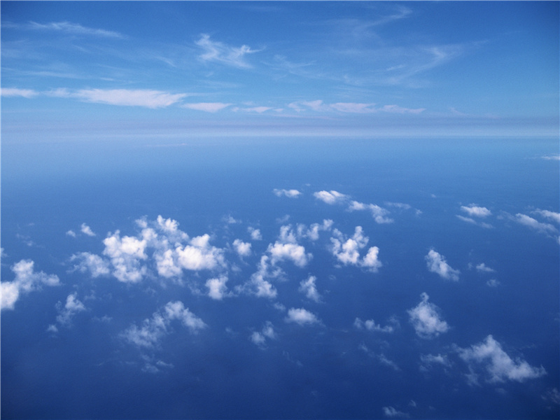 《鹧鸪天·寻菊花无有戏作》原文,宋)辛弃疾古诗