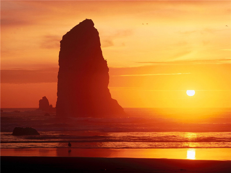 题岐王旧山池石壁原文注释译文赏析-白居易诗词-唐诗全集