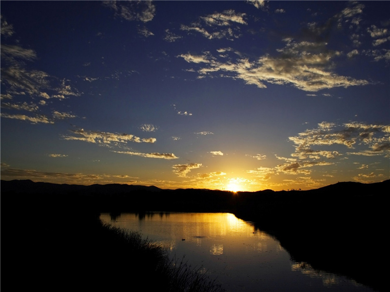 所嗟人异雁,不作一行归出处意思赏析