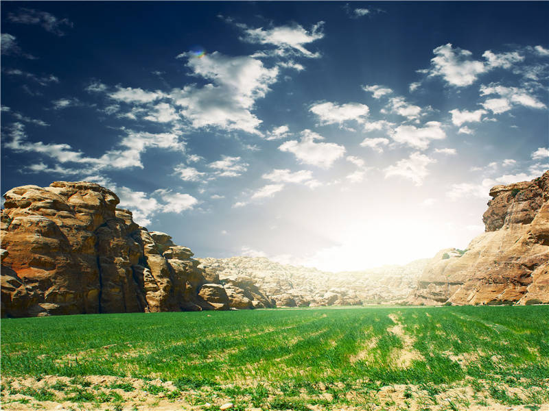 败荷零落,衰杨掩映,岸边两两三三,浣沙游女出处意思赏析