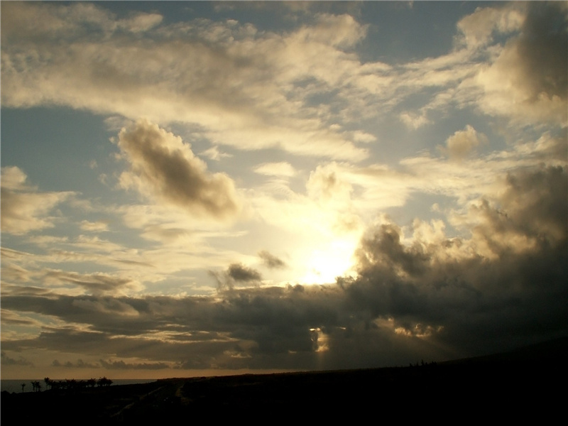 黄葛生洛溪,黄花自绵幂出处意思赏析