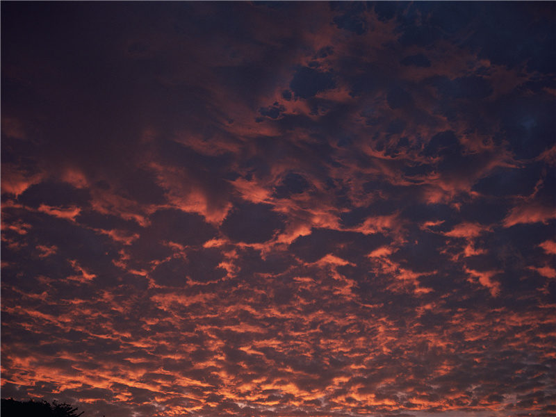 绿阴不减来时路,添得黄鹂四五声的出处意思赏析