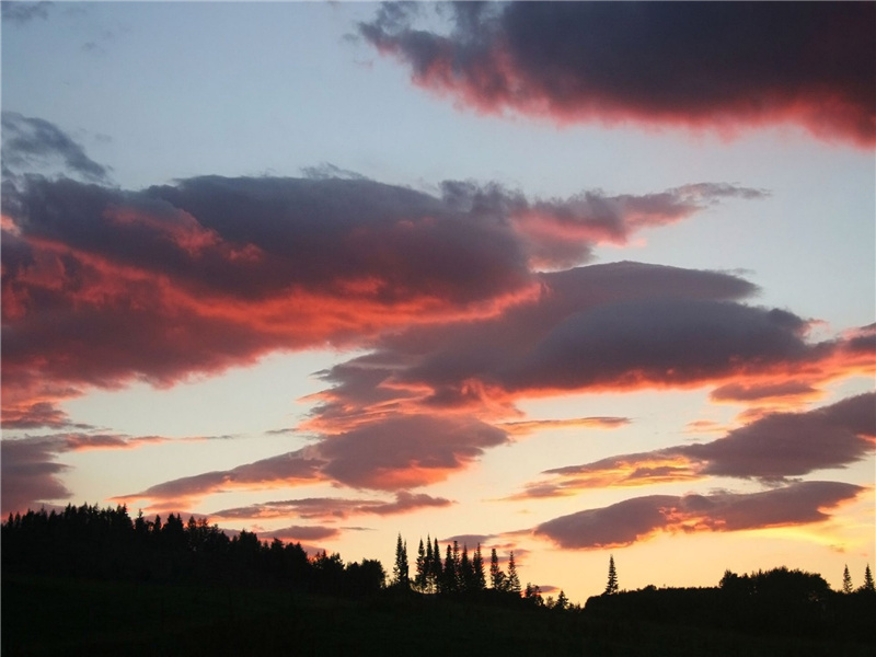 半生忧患里,一梦有无中出处意思赏析