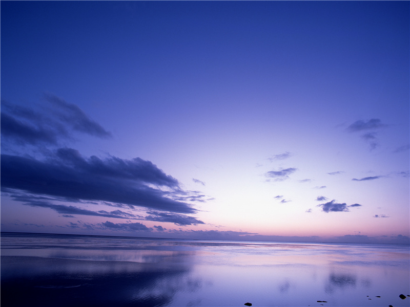 指冷玉笙寒,吹彻小梅春透出处意思赏析