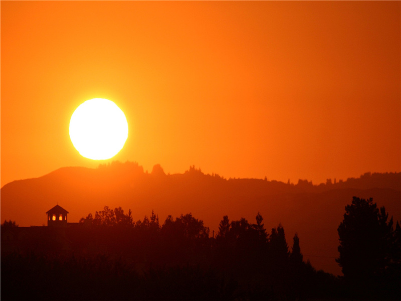 昨夜东风吹血腥,东来橐驼满旧都的出处意思赏析