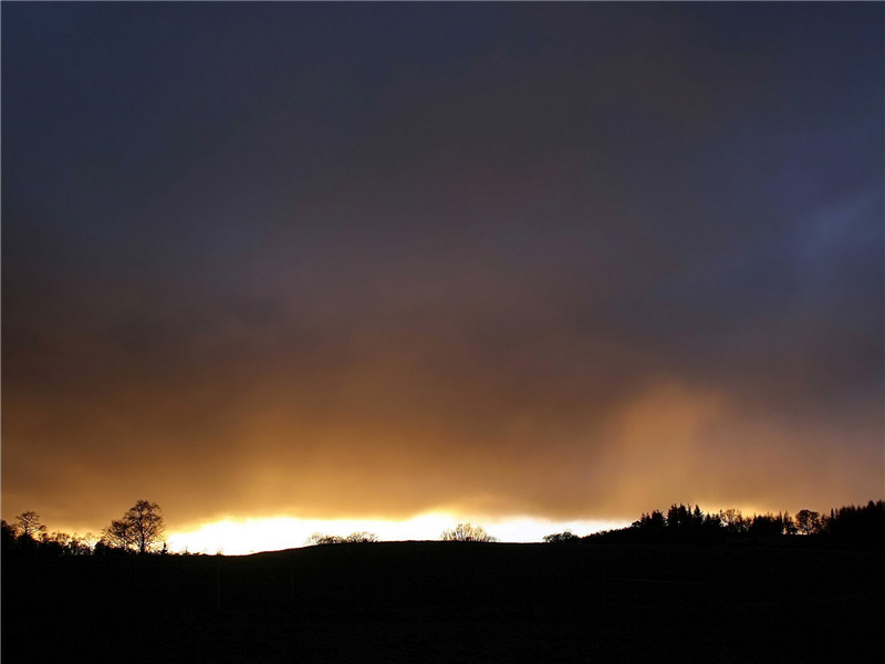 小园几许,收尽春光,有桃花红,李花白,菜花黄出处意思赏析