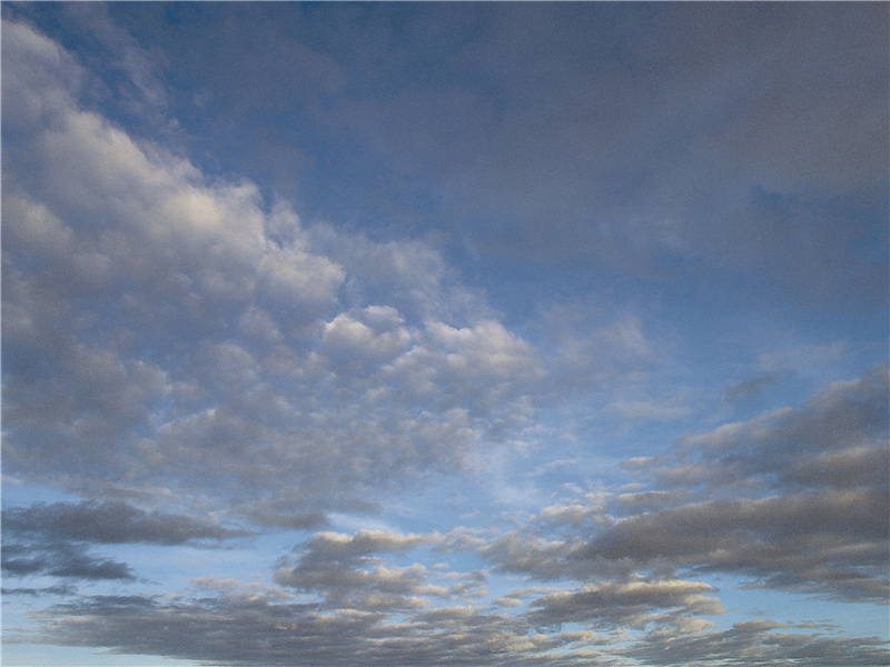 高帝子孙尽隆准,龙种自与常人殊的出处意思赏析