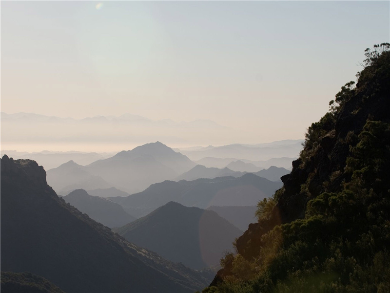 长安城头头白乌,夜飞延秋门上呼的出处意思赏析