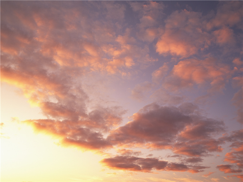 人生不相见,动如参与商的出处意思赏析