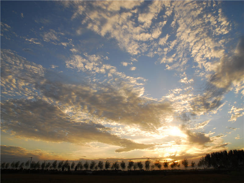 百岁落半途,前期浩漫漫出处意思赏析