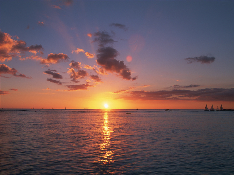 果擘洞庭橘,脍切天池鳞出处翻译赏析