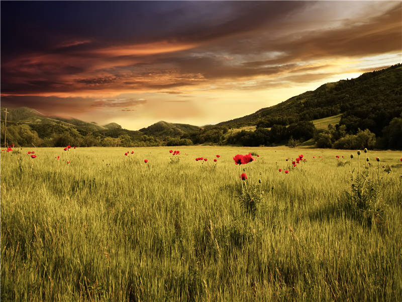 身与心俱病,容将力共衰出处意思赏析