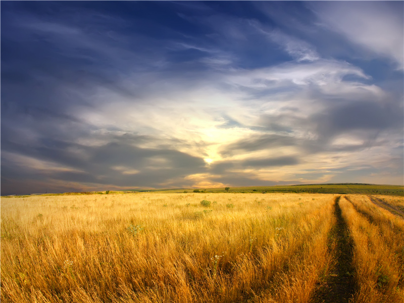 城雪初消荠菜生,角门深巷少人行出处意思赏析