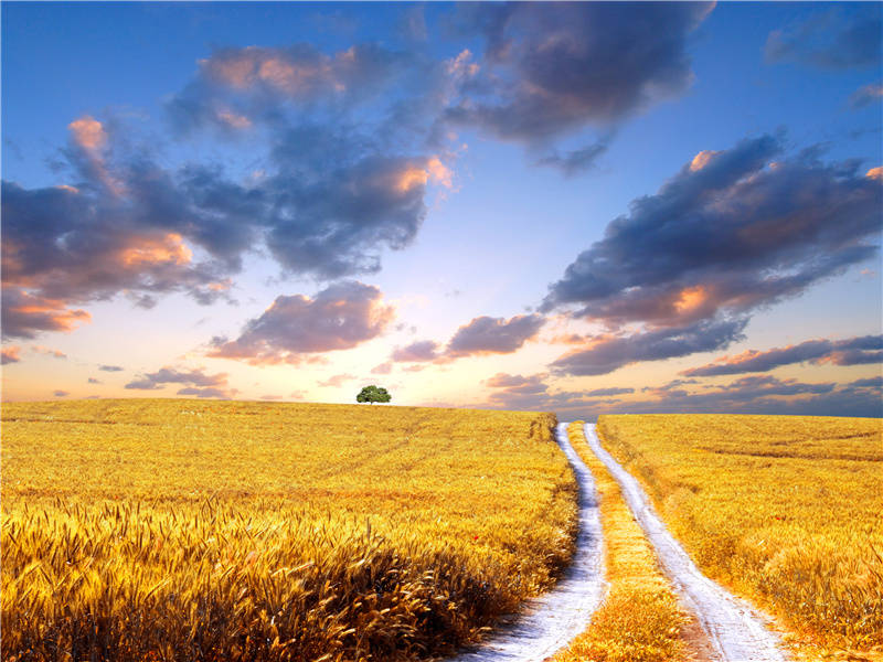 秋蟾流异彩,斋洁上坛行出处意思赏析