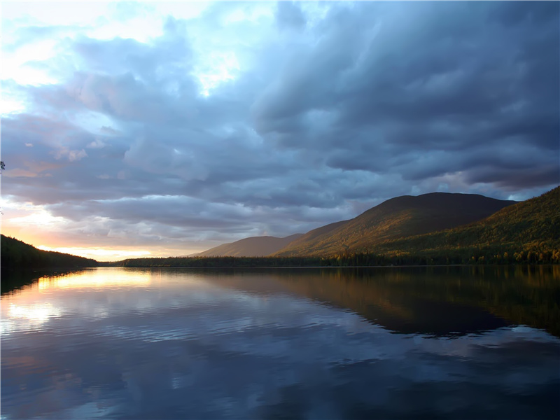 《鹧鸪天·寻菊花无有戏作》原文,宋)辛弃疾古诗