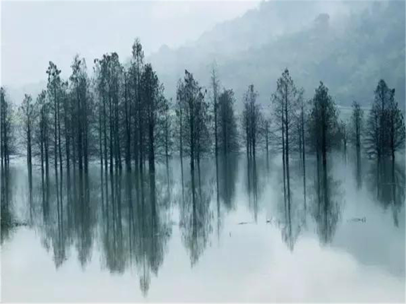 襄王云雨今安在,江水东流猿夜声出处意思赏析