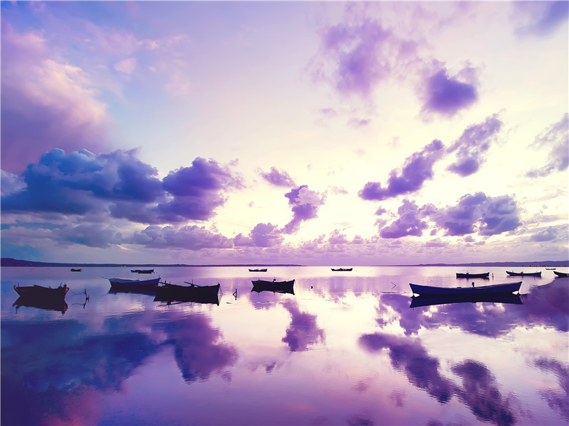 河梁幸未坼,枝撑声窸窣的意思出处赏析