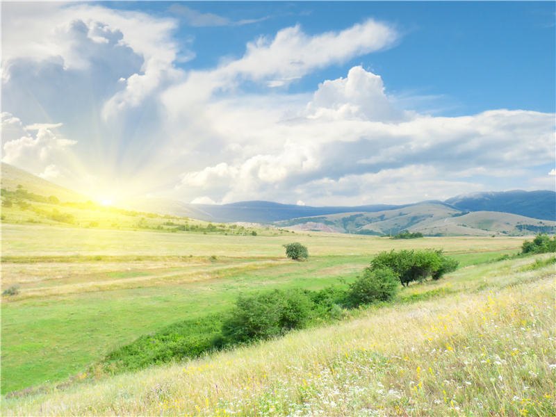 臣如忽至理,君岂弃此物的意思出处赏析