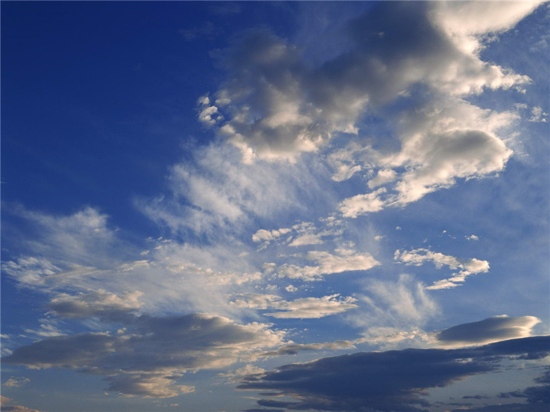 桑野就耕父,荷锄随牧童出处翻译赏析