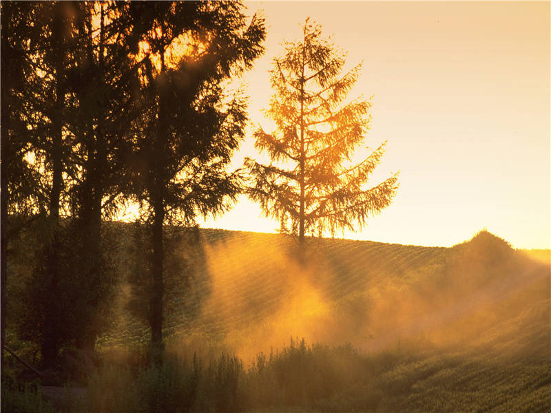 终罢斯结庐,慕陶直可庶出处翻译赏析