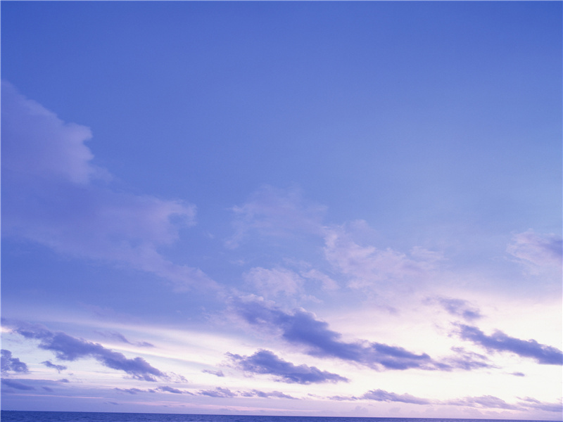 竹怜新雨后,山爱夕阳时的出处意思赏析