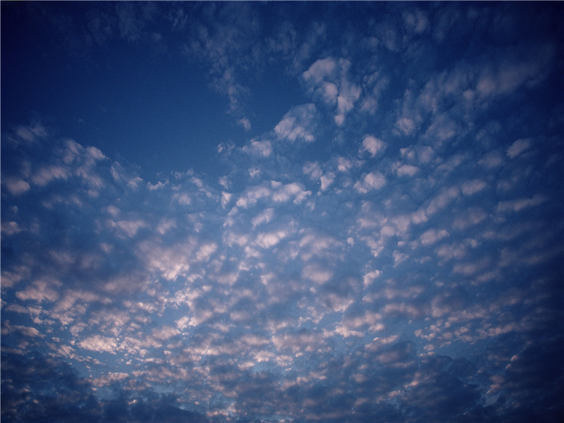 涉江玩秋水,爱此红蕖鲜出处意思赏析