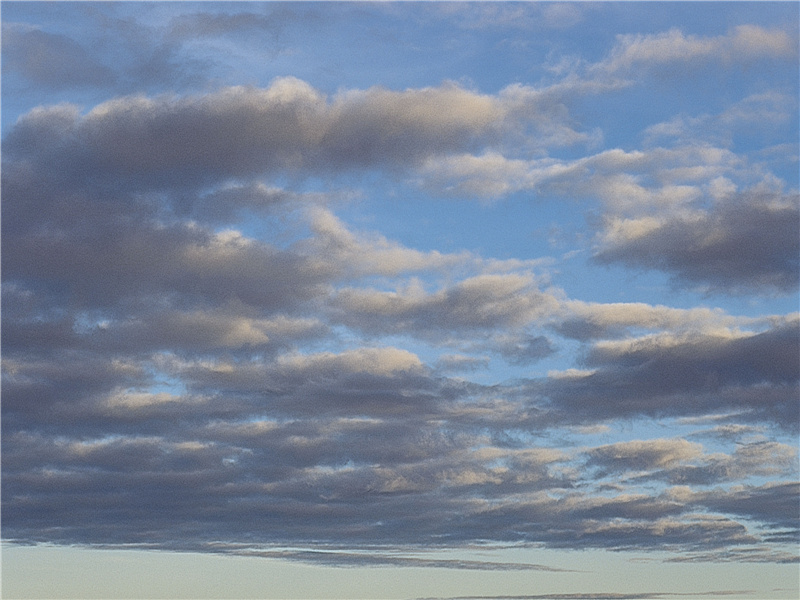 浊酒不销忧国泪,救时应仗出群才出处翻译赏析