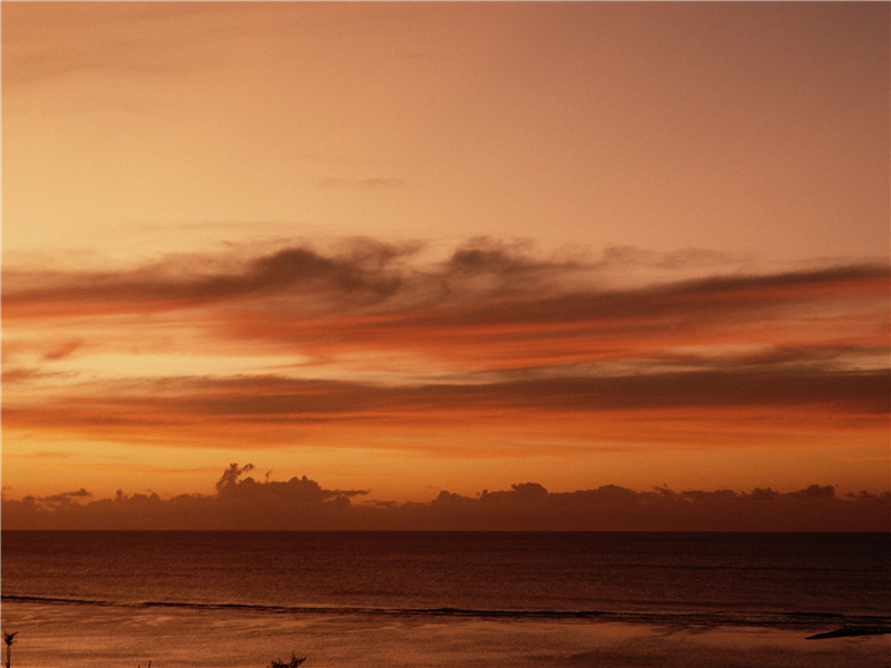 头上何所有?翠微㔩叶垂鬓唇的意思出处赏析