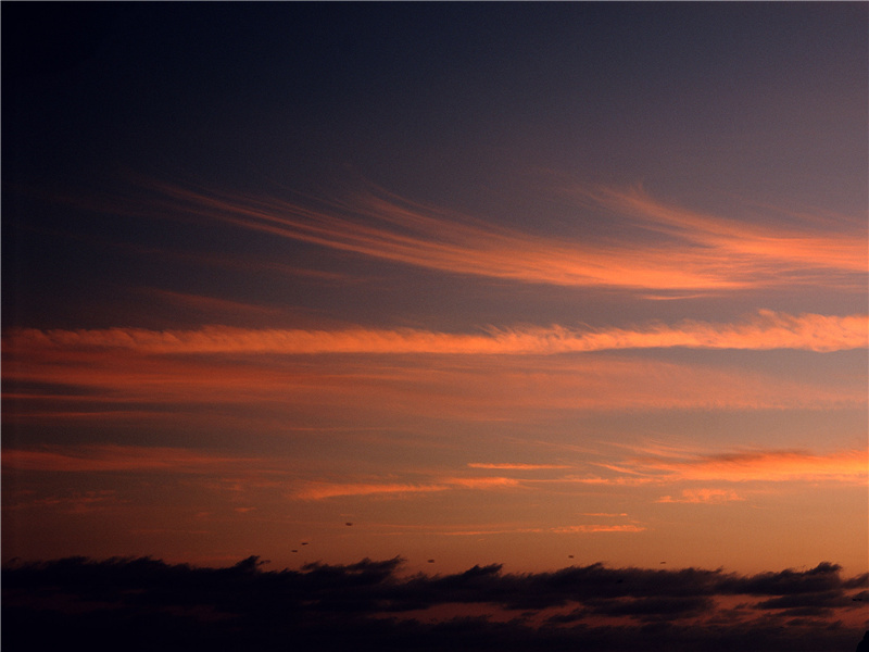 态浓意远淑且真,肌理细腻骨肉匀的意思出处赏析