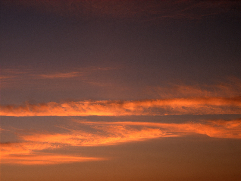 三月三日天气新,长安水边多丽人的意思出处赏析
