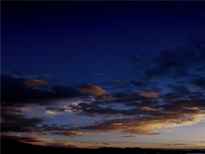 良时佳节成辜负,旧日欢场半是苔出处意思赏析