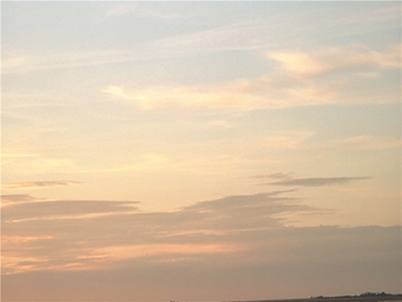 四面歌残终破楚,八年风味徒思浙出处意思赏析