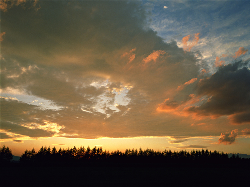 况有狂朋怪侣,遇当歌对酒竞留连的意思出处赏析