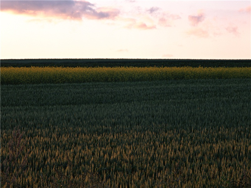 涧户寂无人,纷纷开且落出处翻译赏析
